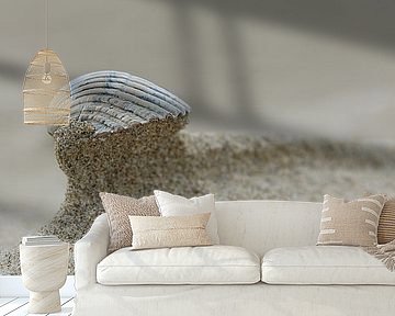 Schelp op het strand