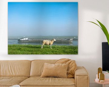 Sheep on grass of river dike with rowboat and blue sky in sunny weather and light fog; typical Dutch scene thus. by anton havelaar