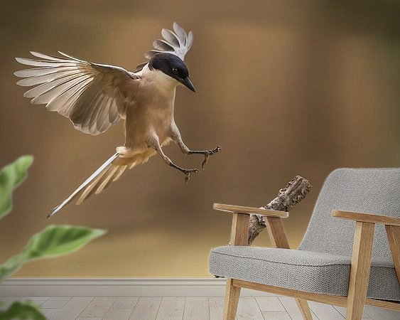 Voorbeeld van het werk in een kamer