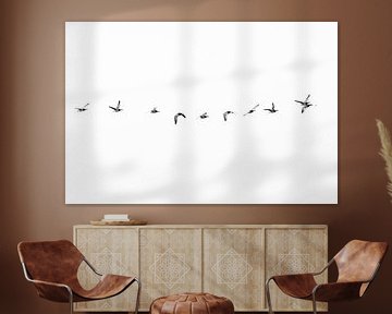 Barnacle geese in formation by Ronald Buitendijk Fotografie