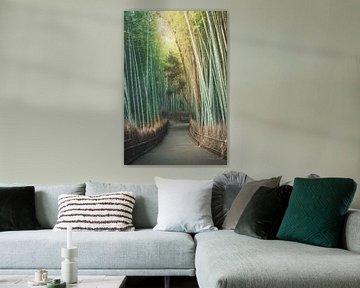 Forêt de bambous sur Sem Viersen