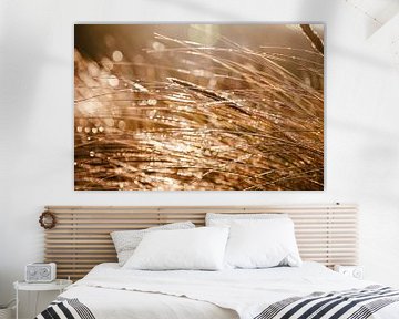 Dune grass with bokeh by Yanuschka Fotografie | Noordwijk