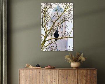 Schwarze Krähe, die in einem Baum vor dem Peperbuser Kirchturm sitzt von Sjoerd van der Wal Fotografie