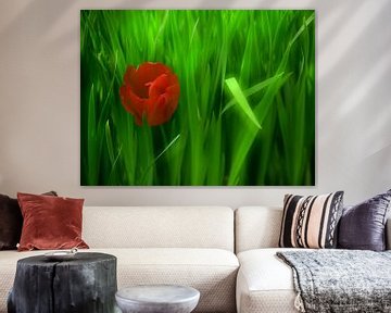 Een rode tulp in het groen van Oliver Lahrem