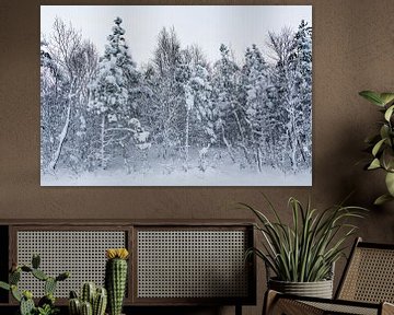 Winter in Lapland van KC Photography