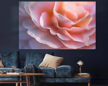 Details van een delicate roze rozenbloesem van Oliver Lahrem