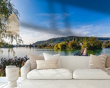 Footbridge to Werd Island on the High Rhine in Switzerland by Werner Dieterich