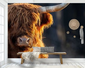 Highland cow van John Goossens Photography