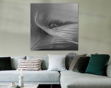 Nature morte en noir et blanc (nuances de gris) : Une goutte sur une plume sur Marjolijn van den Berg