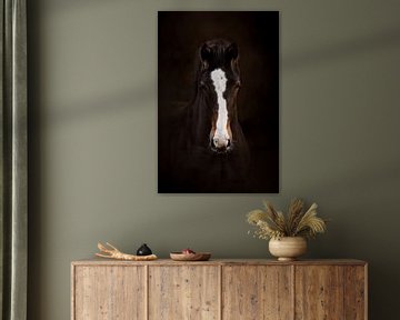 Portret van een donkerbruin veulen met witte bles van Laura Dijkslag