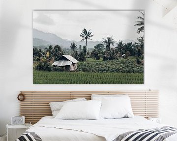 Authentic tropical views in Bali, Indonesia by Troy Wegman