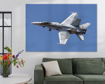 Présentation solo du CF-18 Hornet de l'Aviation royale canadienne 2018. sur Jaap van den Berg