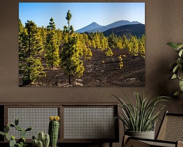 Teide met bomen van Stefan Havadi-Nagy