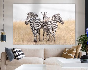 Zebra's Kenia van Gerard van Herk