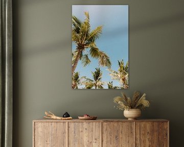 Tropical Paradise: Palm trees on a White Sandy Beach under Bright Blue Sky by Troy Wegman