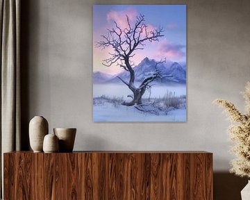 Arbre magique au coucher du soleil