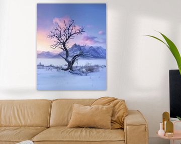 Calme et tranquillité autour de l'arbre