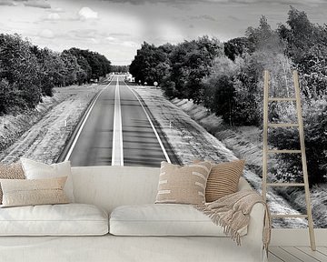 Lone cyclist in Drenthe, black and white by Sander de Vries