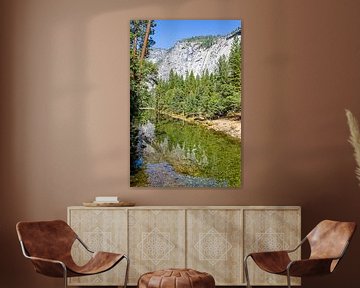 Reflectie in Yosemite National Park van Jan Beukema