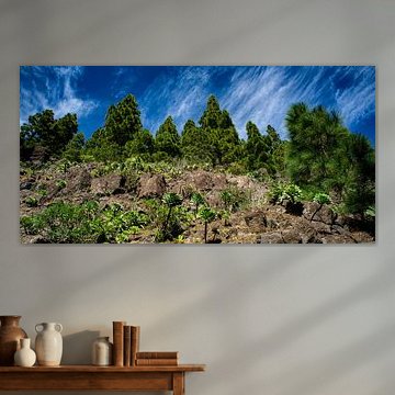 Landschap op Tenerife