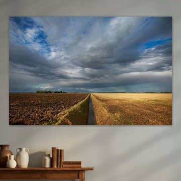 Reiderwolderpolder VIII