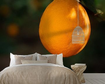 Sinaasappelboom in de Spotlight van 7.2 Photography