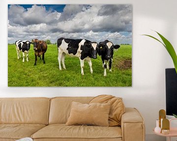 Koeien in de wei van Fotografie Ronald
