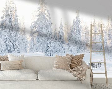 Reindeer in a crispy white landscape by Monique van Genderen (in2pictures.nl fotografie)