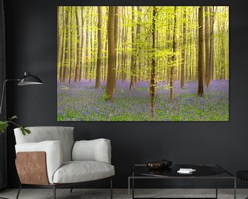 Blauglockenwald mit blühenden wilden Hyazinthen von Sjoerd van der Wal Fotografie