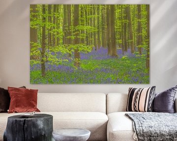 Bluebell-Waldlandschaft mit blühenden wilden Hyazinthenblüten von Sjoerd van der Wal Fotografie