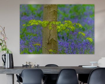 Forêt de jacinthes sauvages en fleurs sur Sjoerd van der Wal Photographie