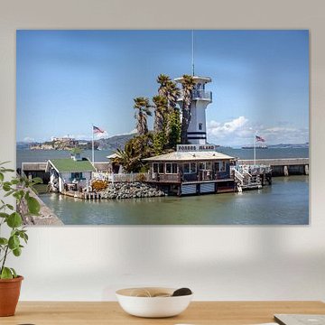 San Francisco - Forbes Island