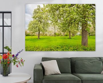 Blossoming fruit trees during springtime in South Limburg by Sjoerd van der Wal Photography