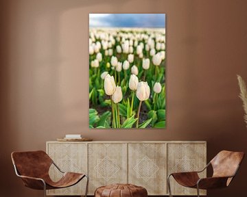 Witte tulpen in een veld tijdens een zonsondergang in de lente van Sjoerd van der Wal Fotografie