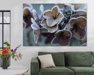 Frosted bloemen van Memories for life Fotografie