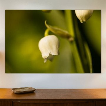 clock by Memories for life Fotografie