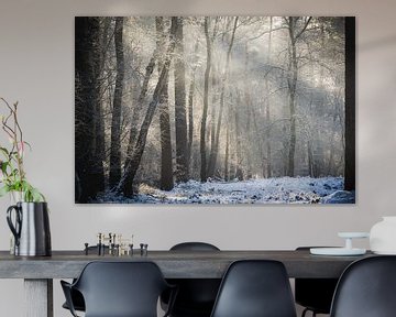 Winterlicht im verschneiten Wald von Erwin Pilon