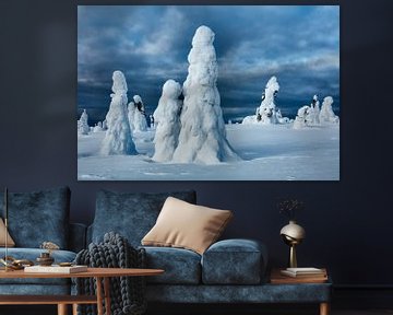 Het magische bevroren woud in Finland van Chris Stenger