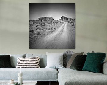 Monument Valley Drive black&white by Melanie Viola