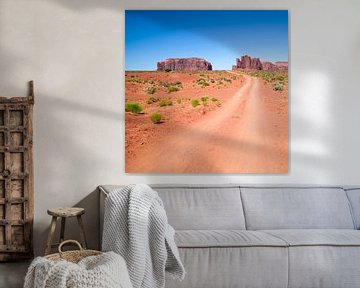 Monument Valley Drive   by Melanie Viola