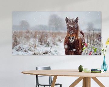 Cheval dans la neige