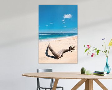 Schöner weißer Strand mit strahlend blauem Wasser (Pantai Nunggalan Beach) auf Bali, Indonesien von Troy Wegman