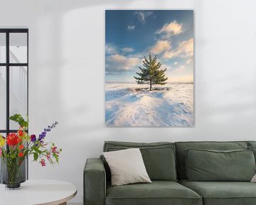 Arbre d'hiver solitaire