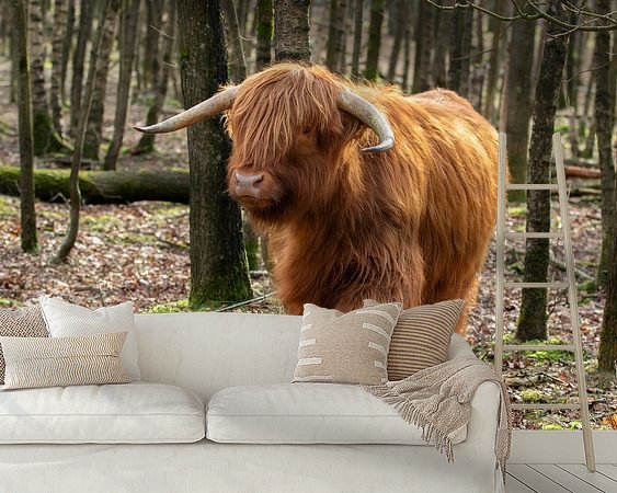 Raumvorschau
