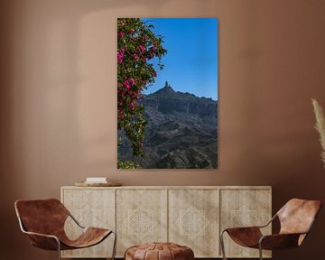 De majestueuze Roque Nublo doemt op boven de Barranco De Tejeda van Peter Baier