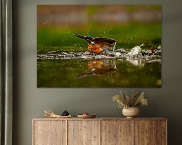 Kingfisher hunting by Erwin Pepping