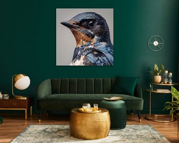 Swallow portrait by The Xclusive Art