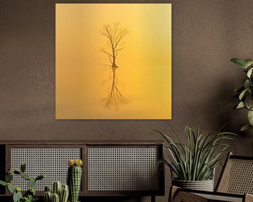 Arbre solitaire baigné de soleil. sur Karina Brouwer