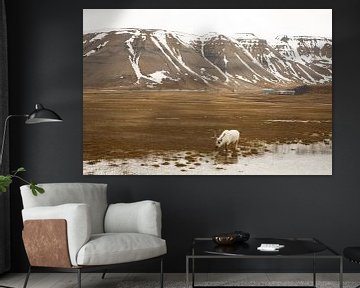 Longyearbyen by Rob Kempers