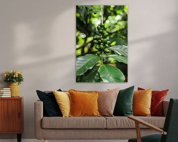 Coffee plant by Cre8yourstory